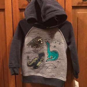 Cute dinosaur sweater